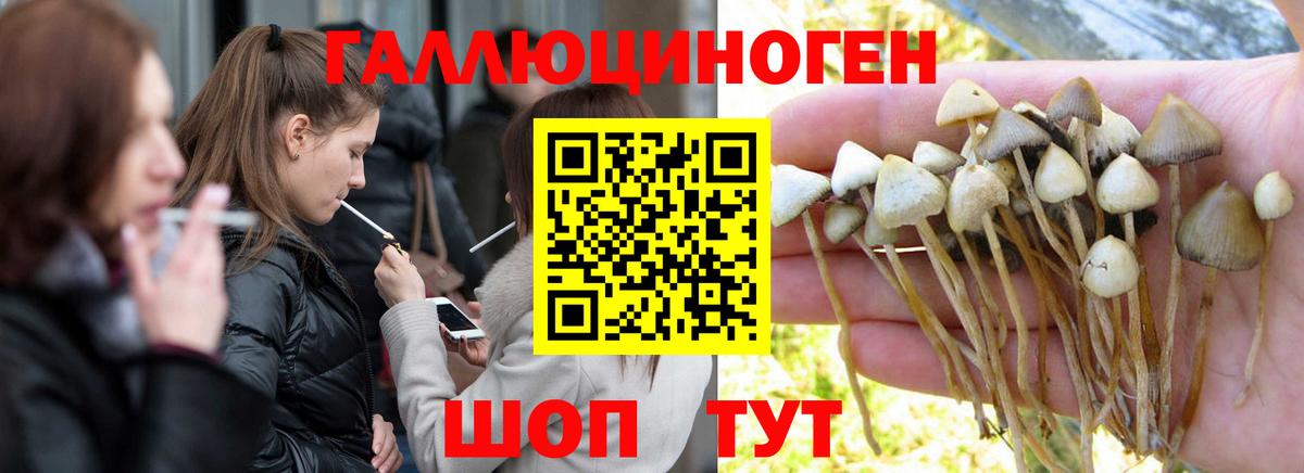 Галлюциногенные грибы GOLDEN TEACHER  Вход с VPN  Нальчик  Галлюциногенные грибы GOLDEN TEACHER 